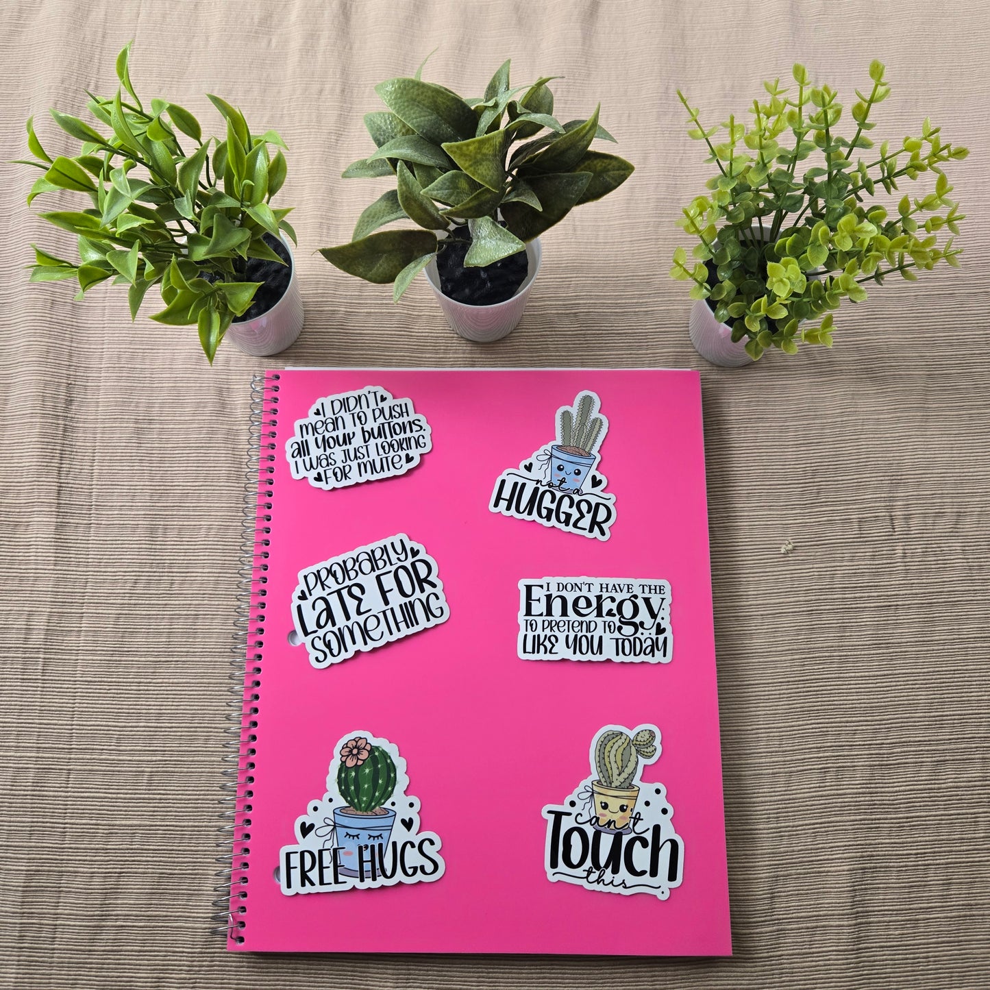 Funny Sarcastic Cactus Stickers