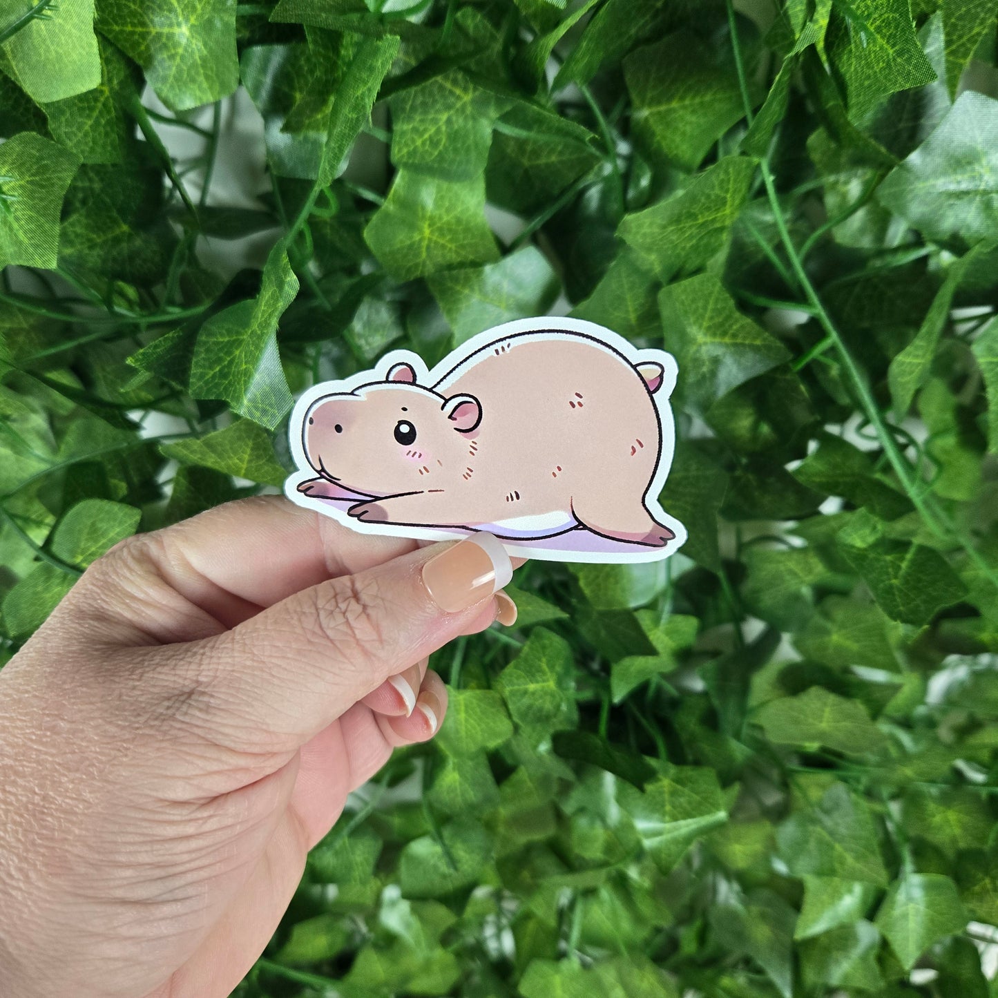 Capybara Stickers