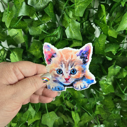 Colorful Kitten Sticker