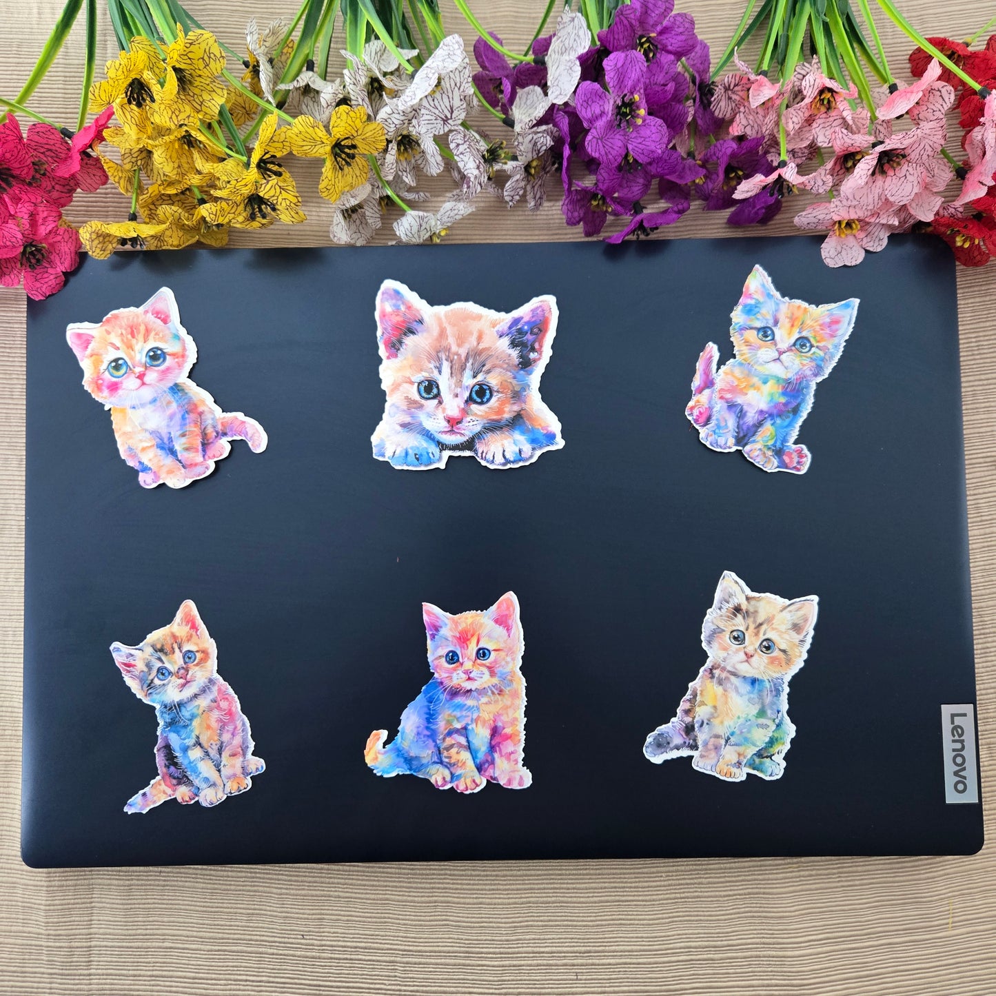 Colorful Kitten Sticker
