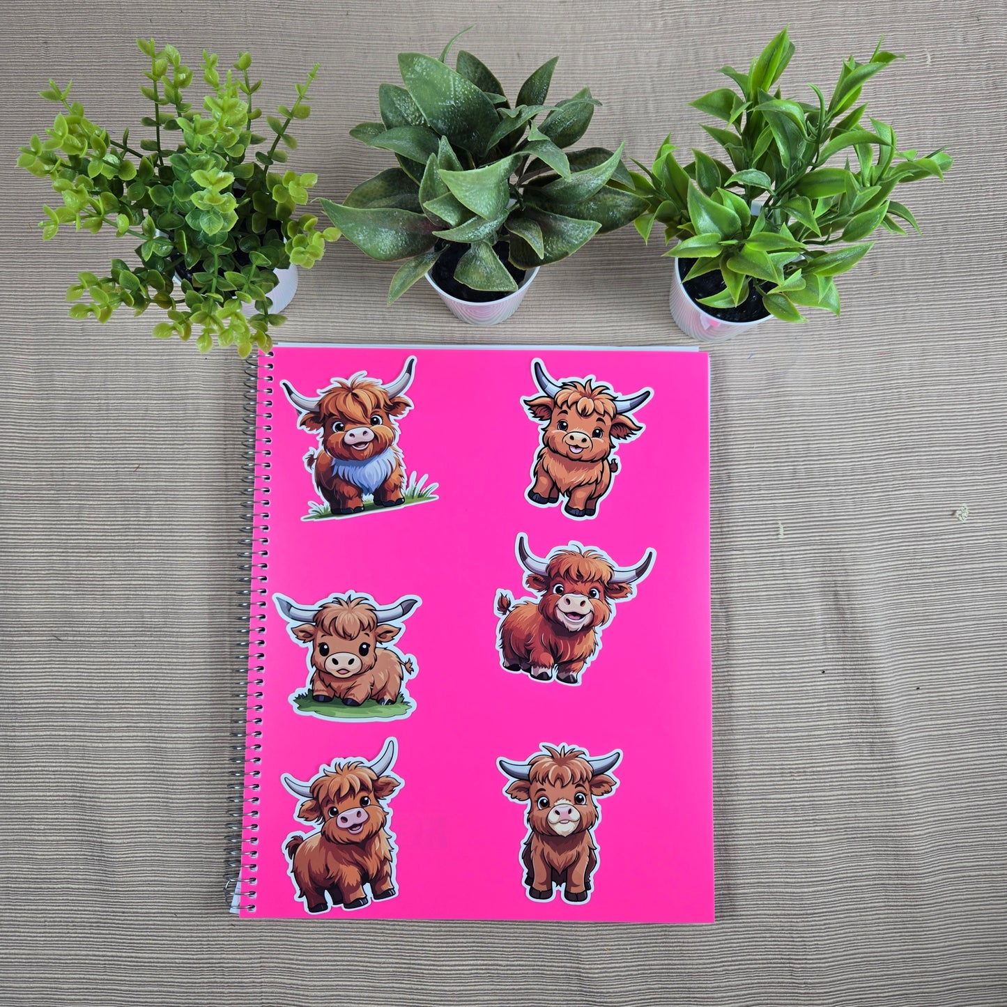 Highland Cow Sticker