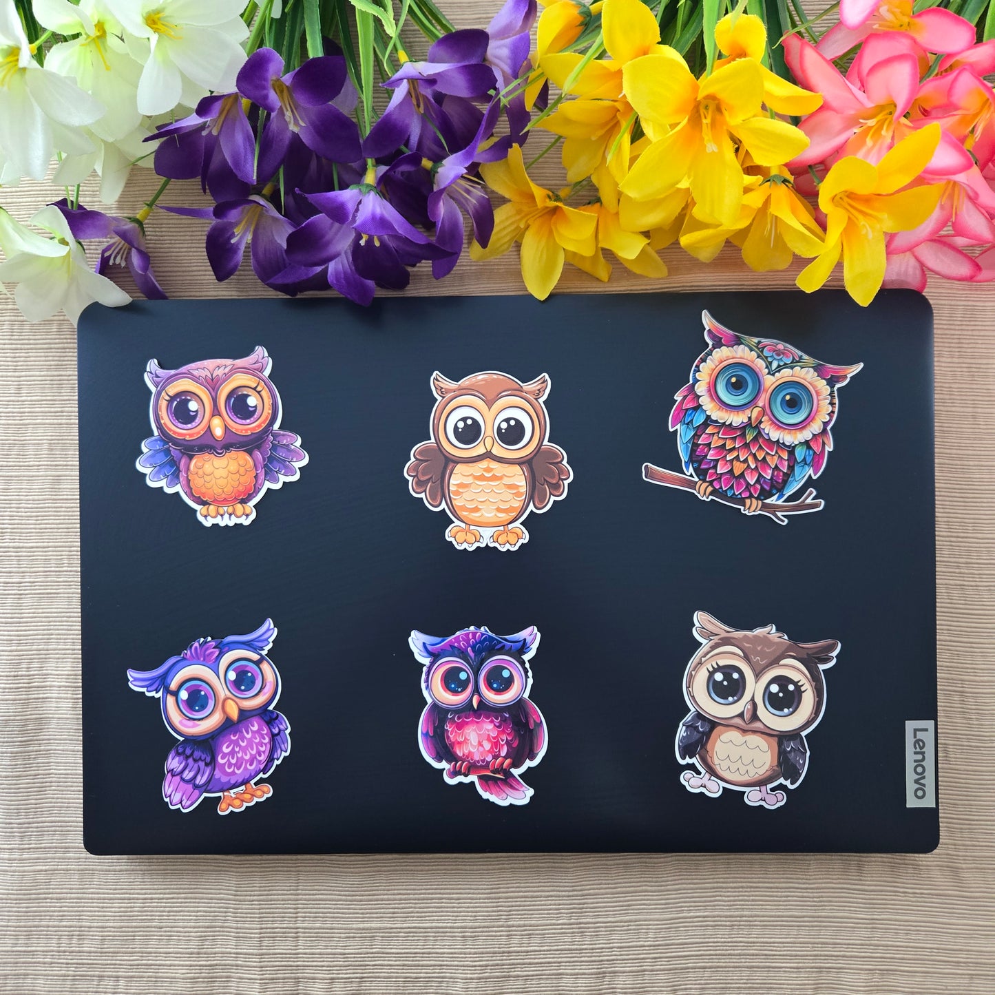 Colorful Owl Stickers