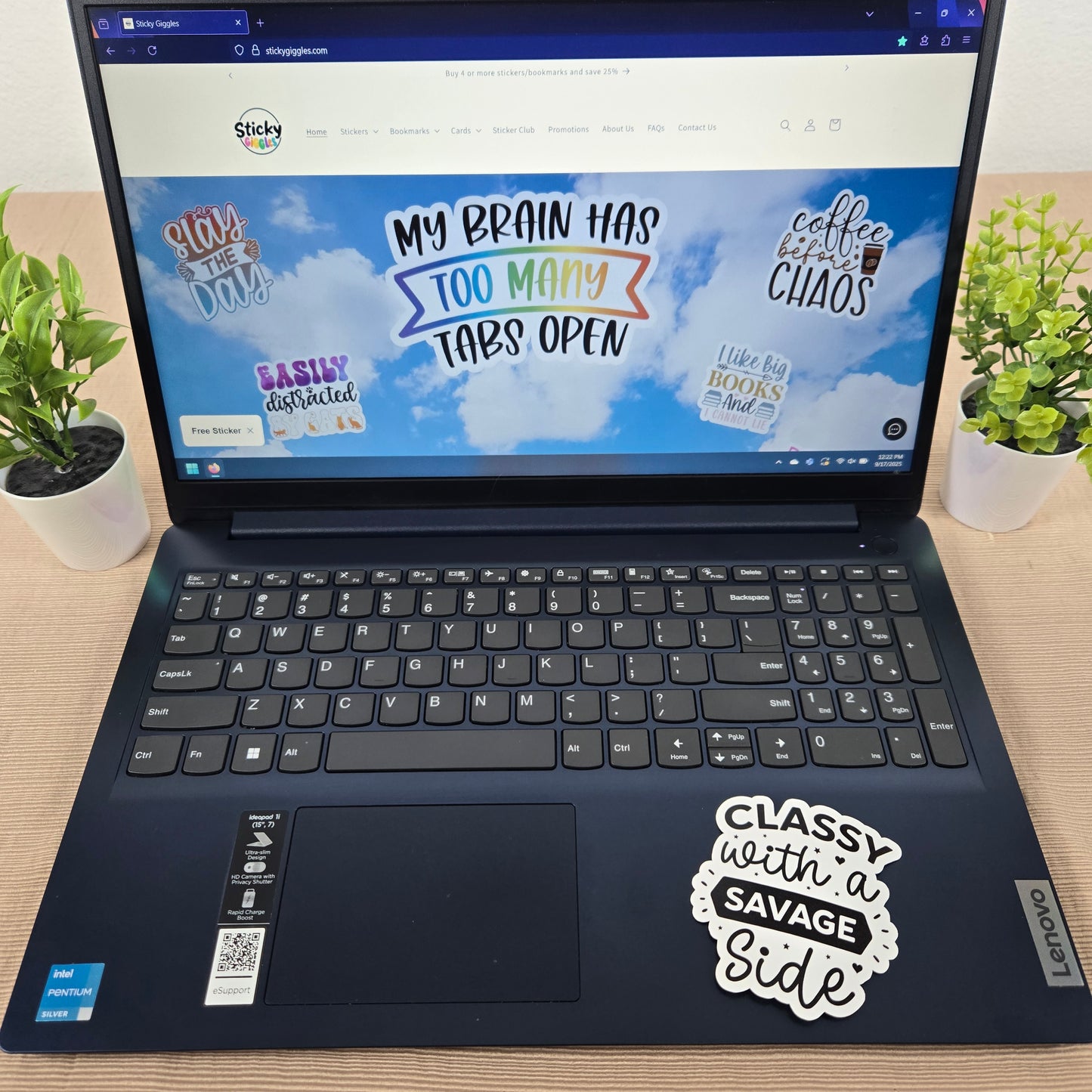 Funny Sarcastic Collection 3 Stickers